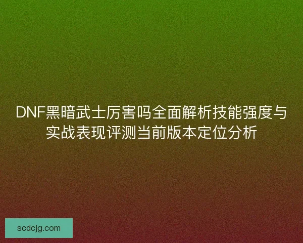 DNF黑暗武士厉害吗全面解析技能强度与实战表现评测当前版本定位分析