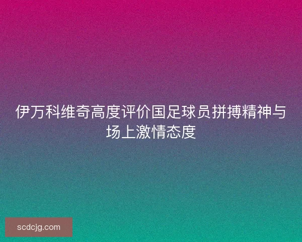 伊万科维奇高度评价国足球员拼搏精神与场上激情态度